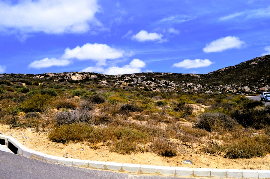 0 Bedroom Property for Sale in Steenbergs Cove Western Cape